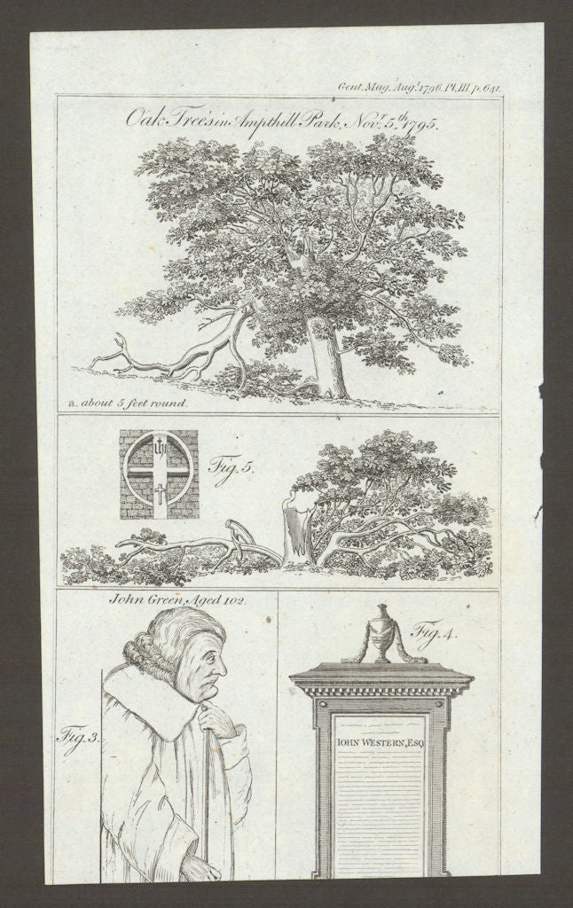 Old oak trees Ampthill Park, Beds. John Green of Wexford portrait, Ireland 1796